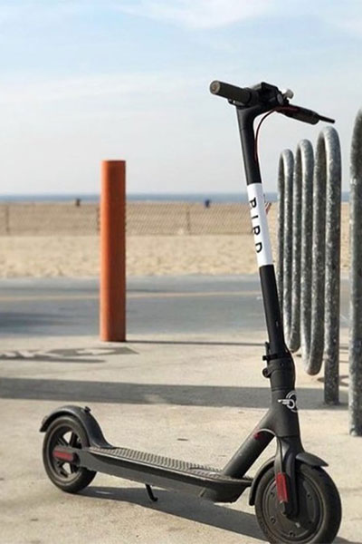 Bird... تجمع 400 مليون دولار وترفع قيمتها لـ2 مليار دولار